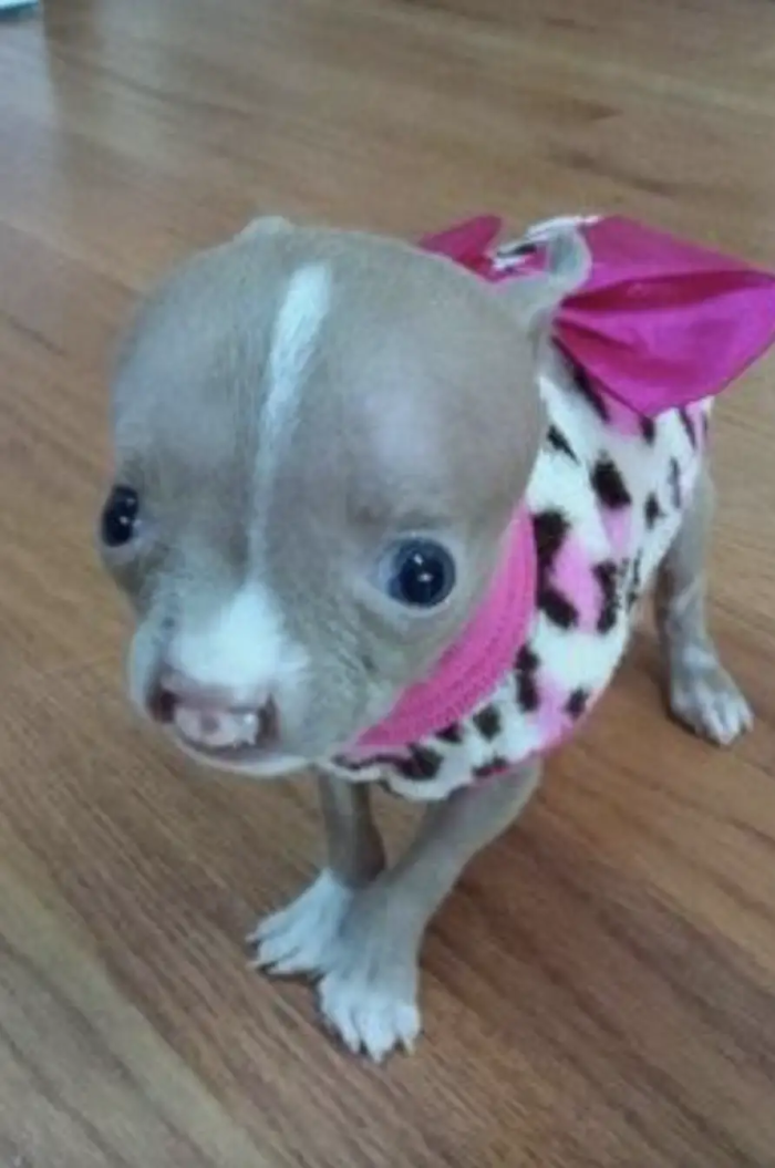 Despite Sasha's condition, Marie never gave up on her