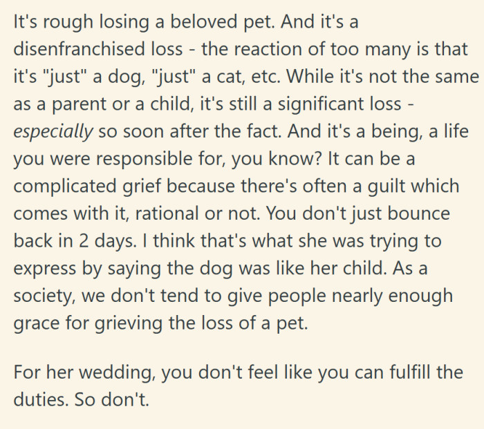 "As a society, we don't tend to give people nearly enough grace for grieving the loss of a pet."
