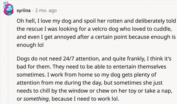 When a dog is spoiled, it usually means giving them what they want or letting them choose. In OP’s case, the dog is being smothered even though they have the option to rest.