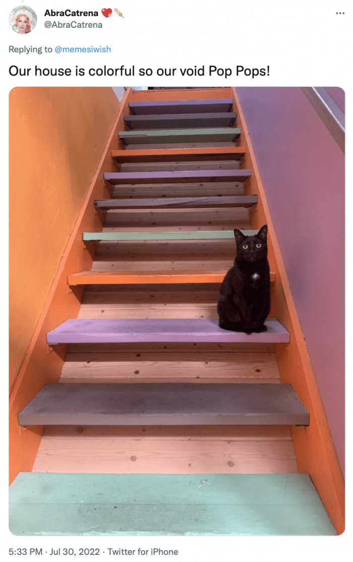 4. The pastel colors really complement the cat. You can definitely say that this cat's beauty stands out!