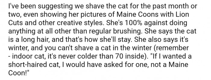 OP started pushed more for the cat to be shaved, showing different cuts and styles, but still his wife would not budge