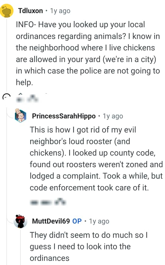 How This Redditor Got Rid of Their Evil Neighbor's Loud Rooster