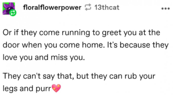 7. How they show that they miss you...