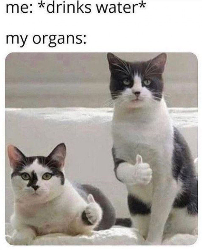 16. Organs approve your decision.