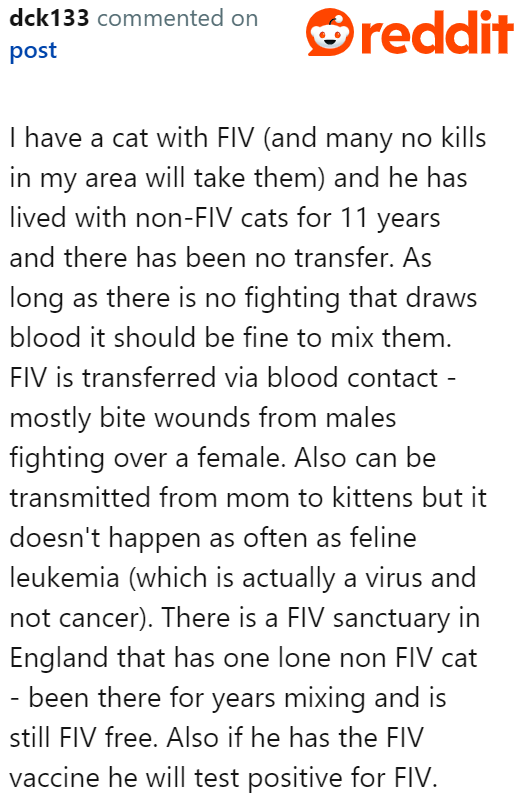 Other Redditors support the idea of surrendering the cat to the shelter despite its condition.