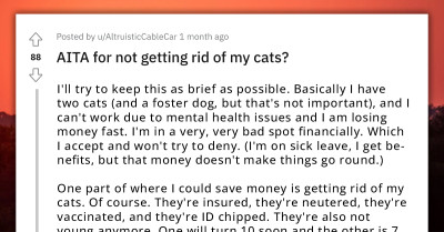Redditor Fears They Are Acting Out Of Selfishness After Refusing To Abandon Their Cats Despite Financial Issues
