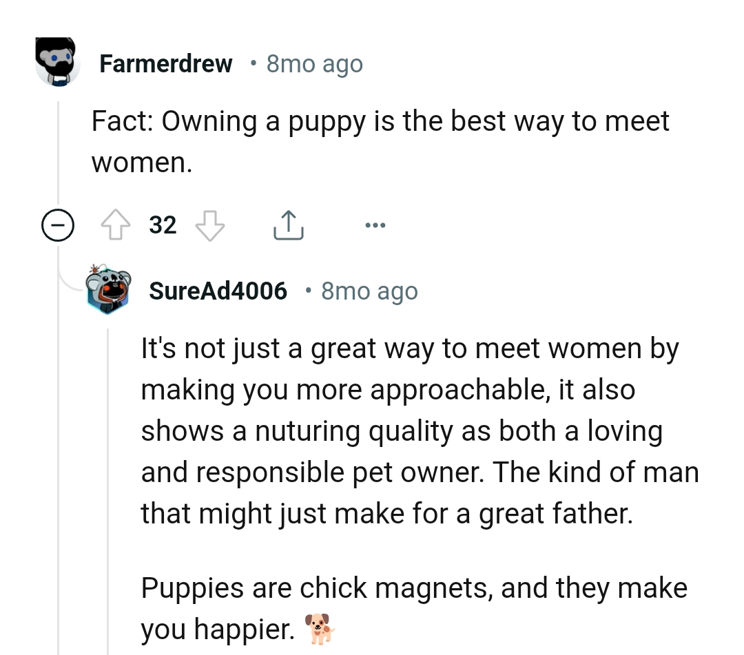 16. Puppies make their owners happier