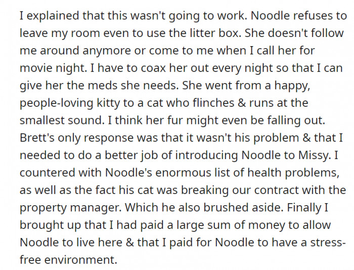 Brett brought in a new cat, and that did not exactly bode well with Noodle.