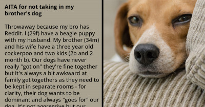Redditor Called "Unfair" After Refusing To Take In Her Brother's Dog Who He Has Always Been Aggressive Towards Her Dog