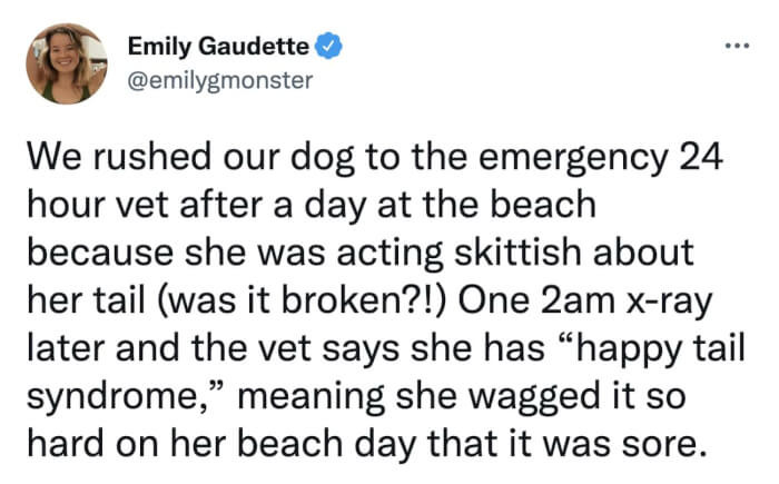 The doggo was just too happy.