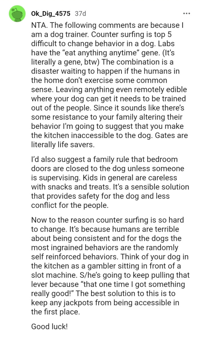 Kids, in general, are careless with snacks and treats