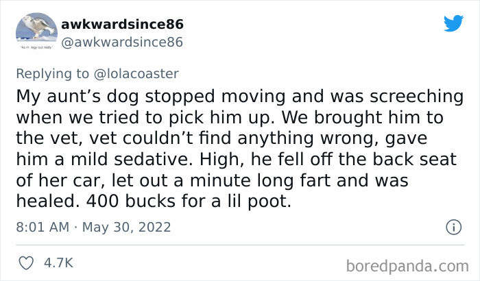 #16 Is it possible for a fart to be that long and, not to mention, pricey?