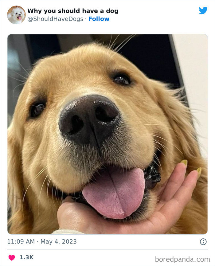 45. I see you, hooman