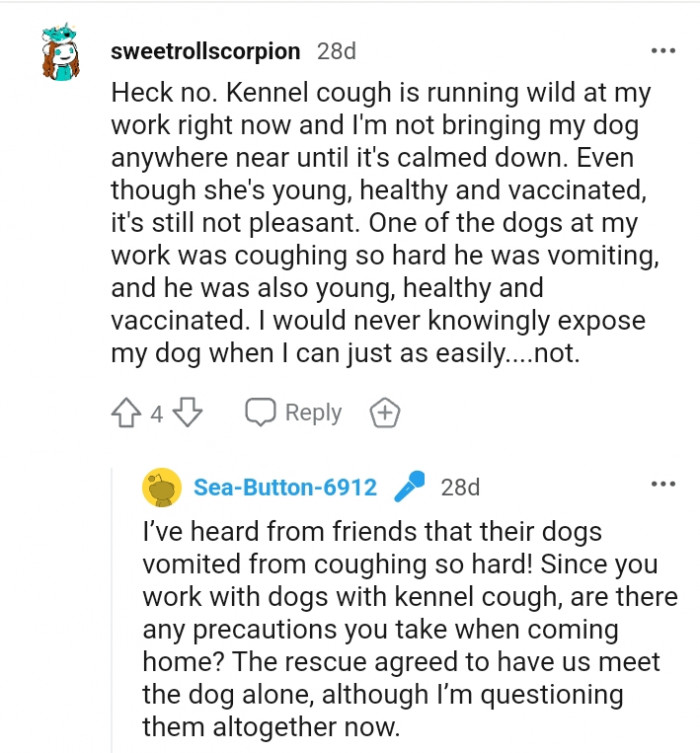 This Redditor would never knowingly expose their dog to such risks