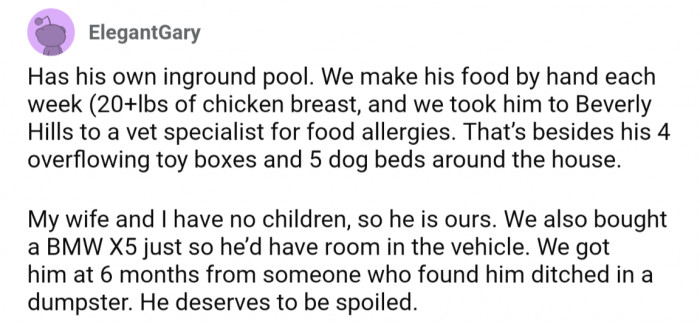21. This pupper gets its own pool, fresh homemade food, and all the toys and beds