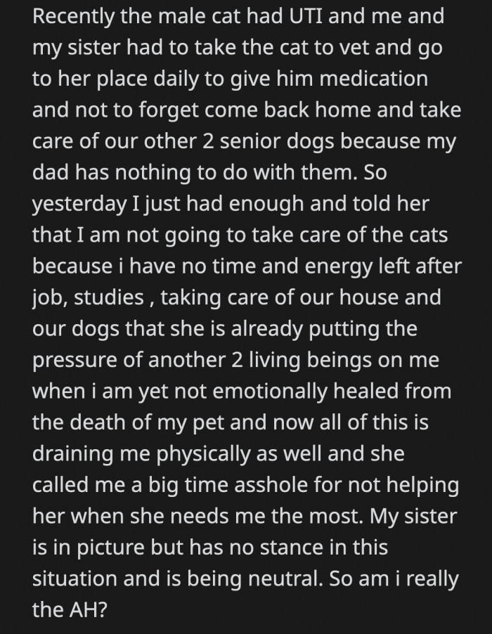 OP is getting burnt out from all the responsibilities and told their mom how they felt. OP's mom called them an a**hole for not stepping up when she needed them the most, but OP is drained. Were they wrong?
