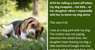 Pet Owner Whose Dog Snapped At A Child Wonders If He's Wrong For Telling Off A Mother For Failing To Keep An Eye On Her Daughter