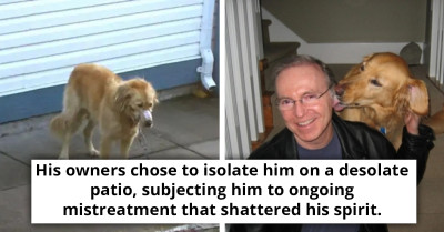 Abandoned Dog Gets A Second Chance At Life After Being Rescued By Kind Neighbors