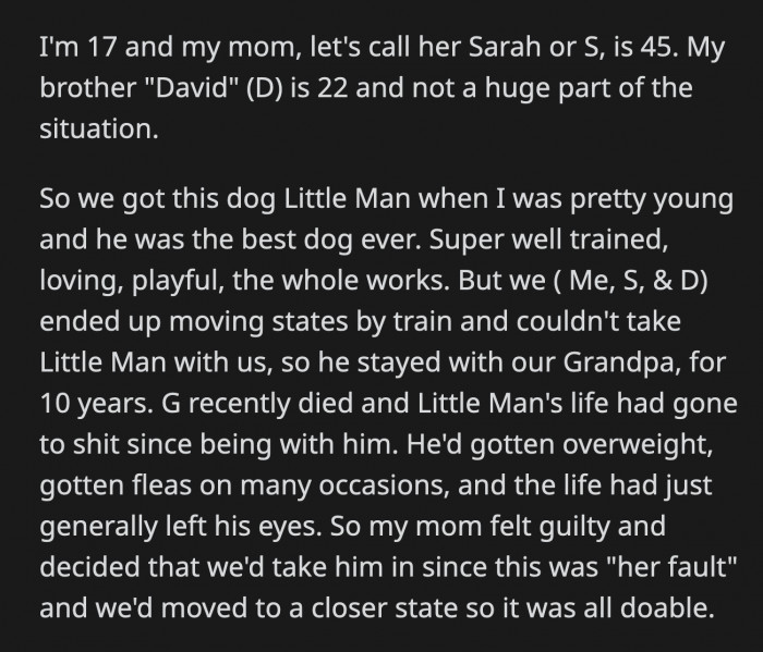 Since OP is the primary caretaker, Little Man has become attached to her and follows her to her room—this is where the dog pees a lot.