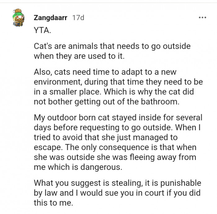 Cats need time to adapt to a new environment