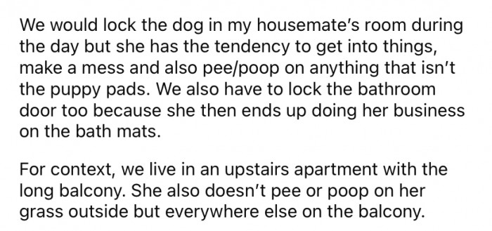They have considered locking the dog in the housemate's bedroom during the day, but that only results in the dog getting into things she shouldn't and making a big mess.