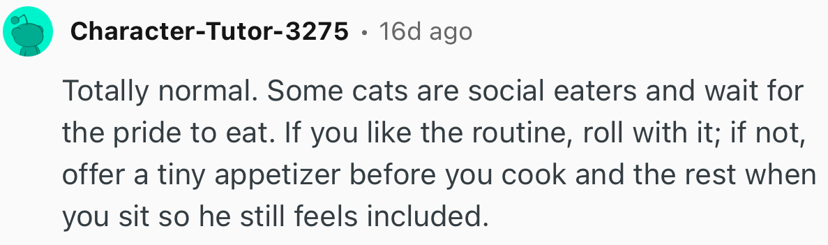 “Totally Normal. Some Cats Are Social Eaters And Wait For The Pride To Eat.”