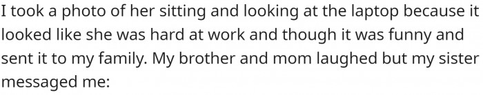 OP took a photo of the cat 