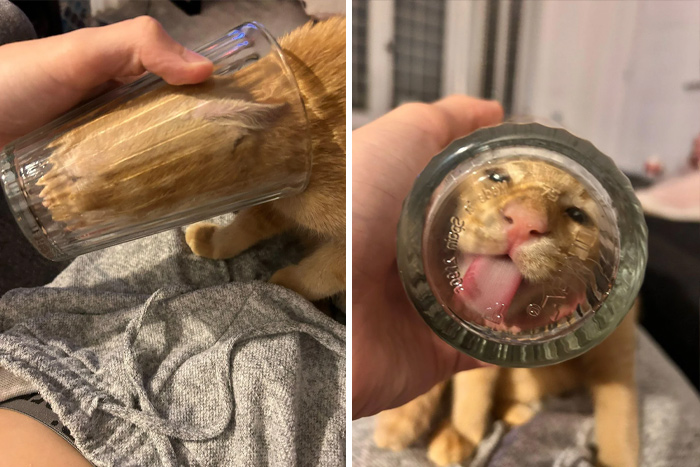 21. He wanted water, discovered physics instead.