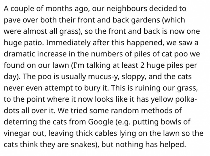3. But the neighbors decided to pave their entire back and front yard, turning it into a giant patio. This left the cats with no other choice but to come to OP's yard to do their business. This has ruined his lawn.