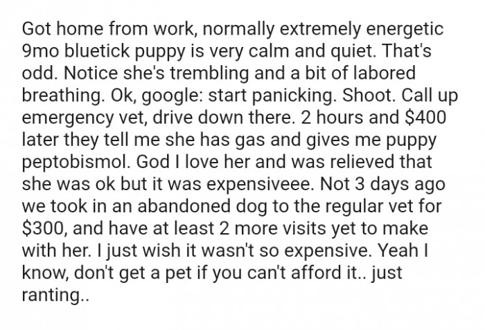 I was relieved that she was okay, but it was expensive