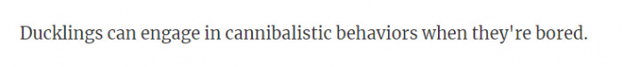 15. Wow I've never been bored enough to try to eat a sibling, but okay.