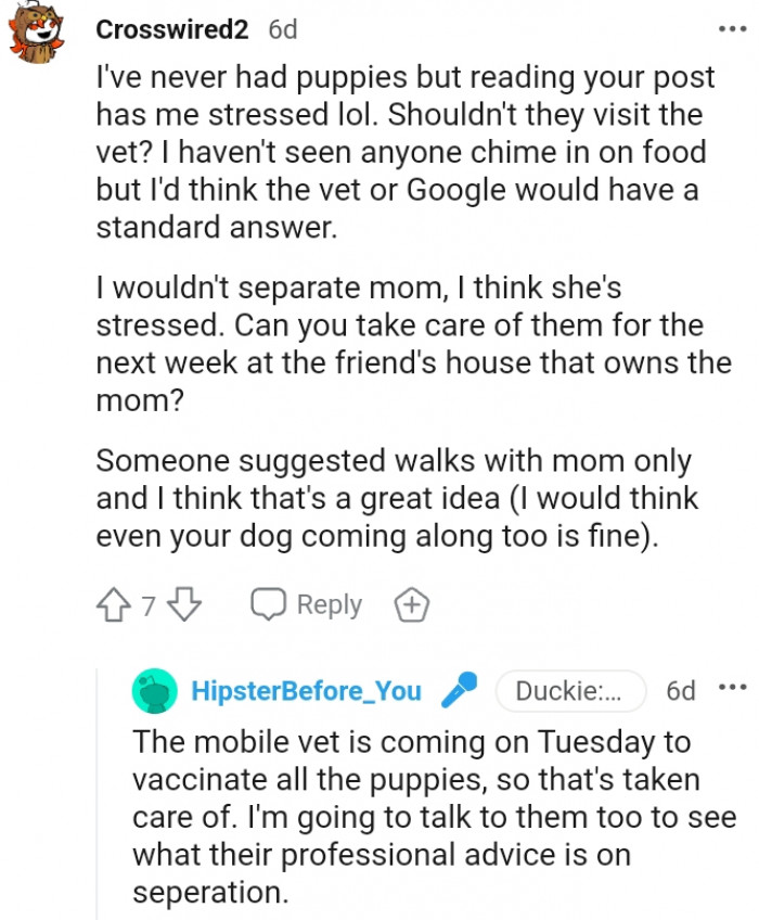 17. Should the puppies not visit the vet?