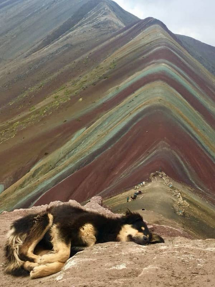 8. After conquering Rainbow Mountain, this Peruvian hiker had a well-deserved nap: