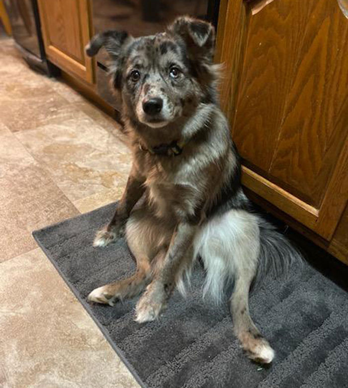 Heath got him to help him with his mental health