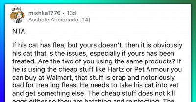 Roommates Argue Over Whose Cat Brought Fleas Into Their Apartment