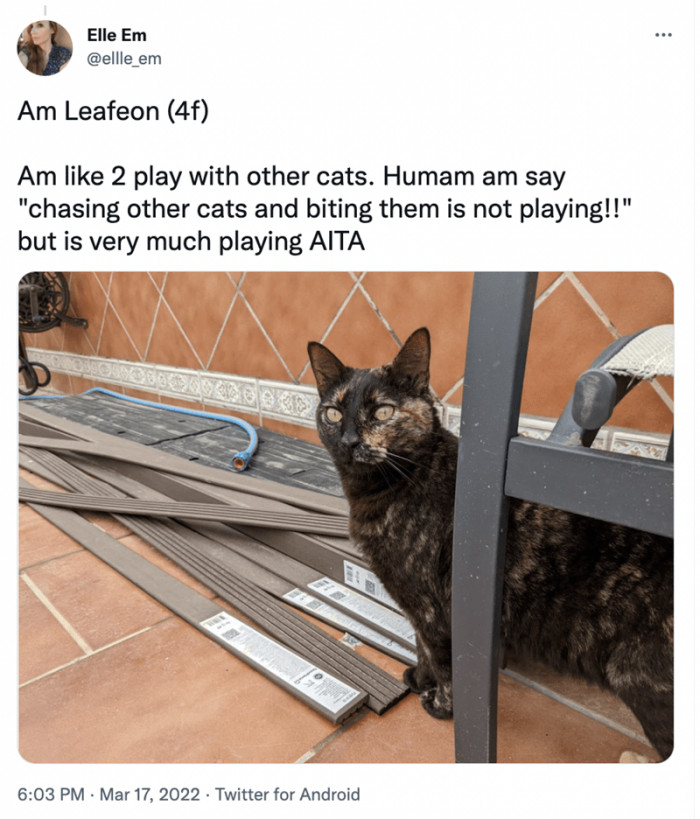 2. I don't think cats are really capable of being the a-hole though