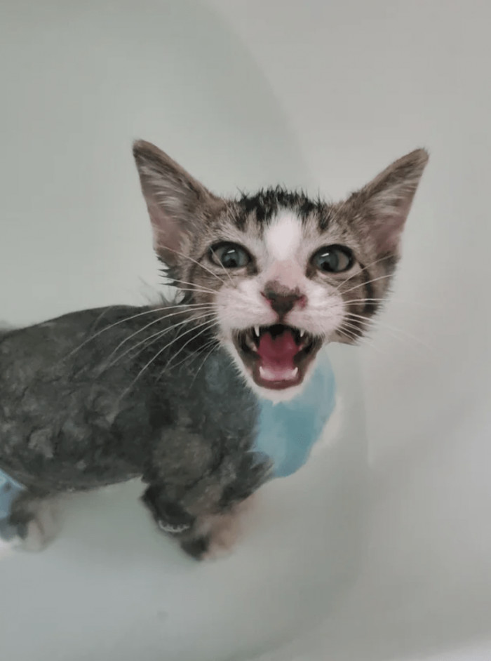 "He had a lot to say about his bath today."