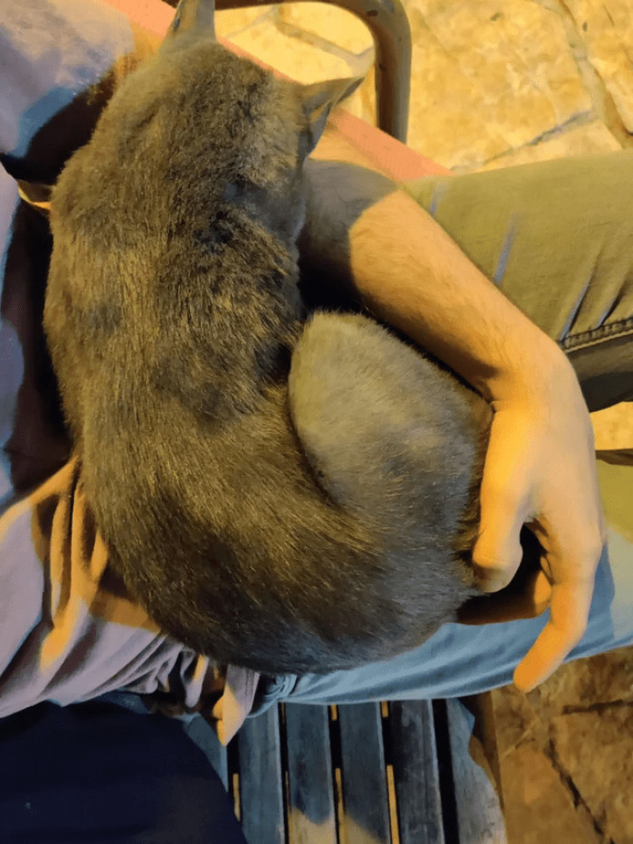 8. "Crying on a public bench and this angel comes to rescue"