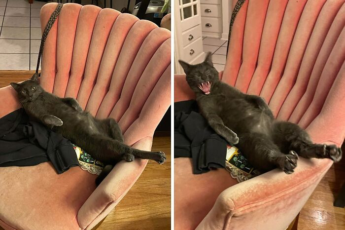 "Chillin' So Hard Then Mega Yawn"