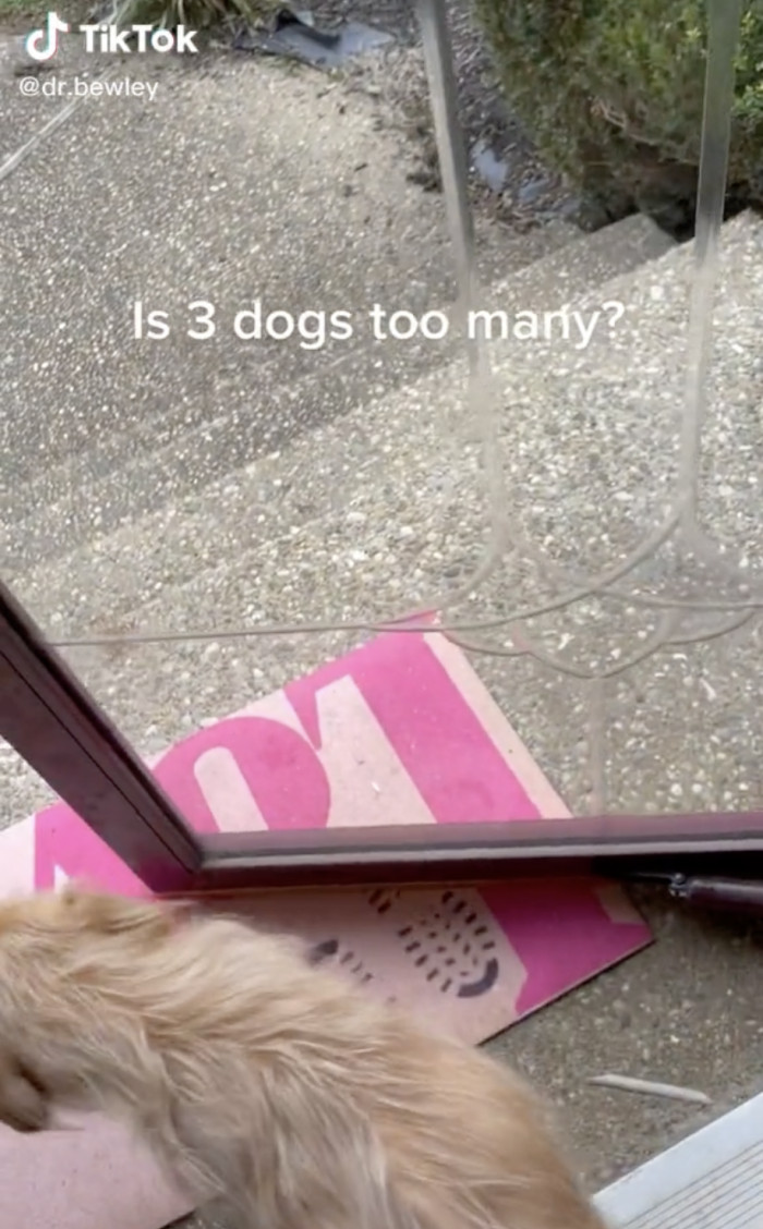 It looks like Travolta isn't going anywhere