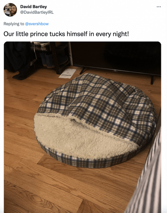 7. He's a prince, so he already knows his duties