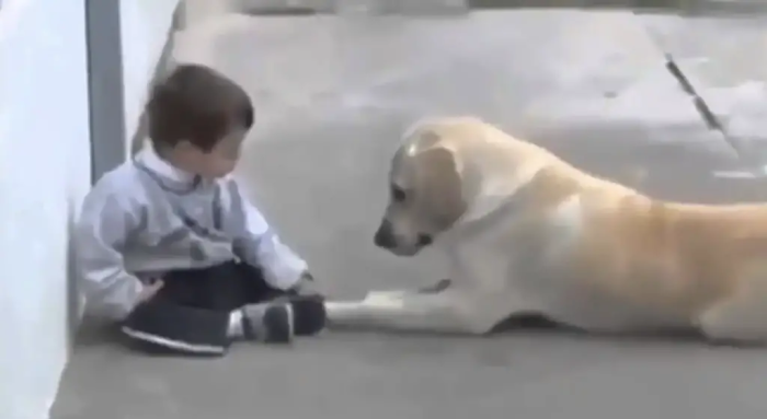 The two unlikely companions