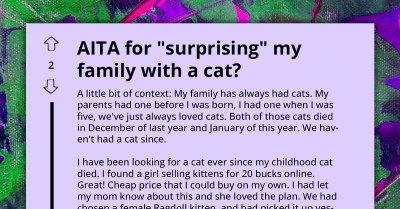 Son's Decision to Surprise His Family with a Cat Backfires, Leaving His Parents on the Verge of Separation