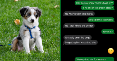 This Mom Surrendered The Family Dog To A Shelter Without Informing Anyone, Now Her Child Is Heartbroken