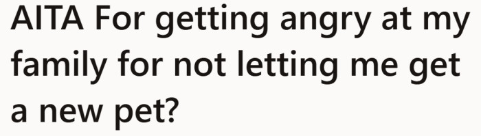 A straightforward question that hints this is less about a pet and more about everything that came after the loss.