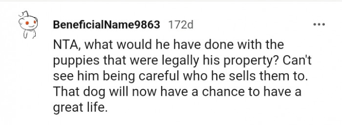 13. The dog now has a chance at a great life