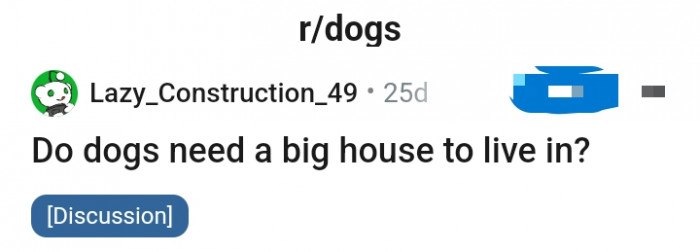 It would be nice to give our dogs big houses, but do they really need it?