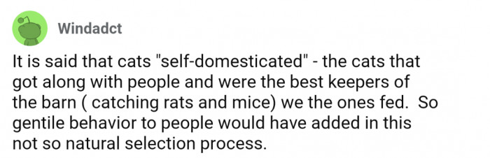 The domestication of cats also plays into this theory