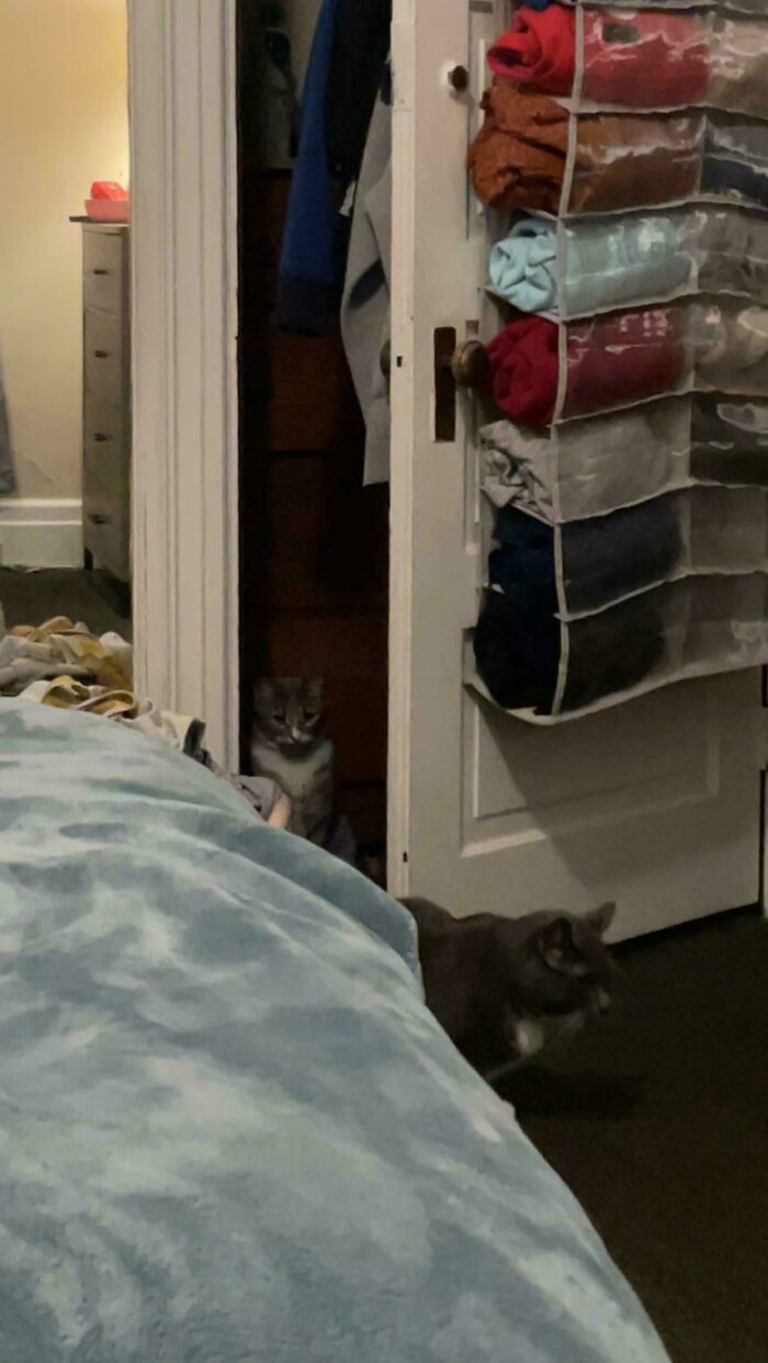 27. One handles the distraction. The other handles the getaway.