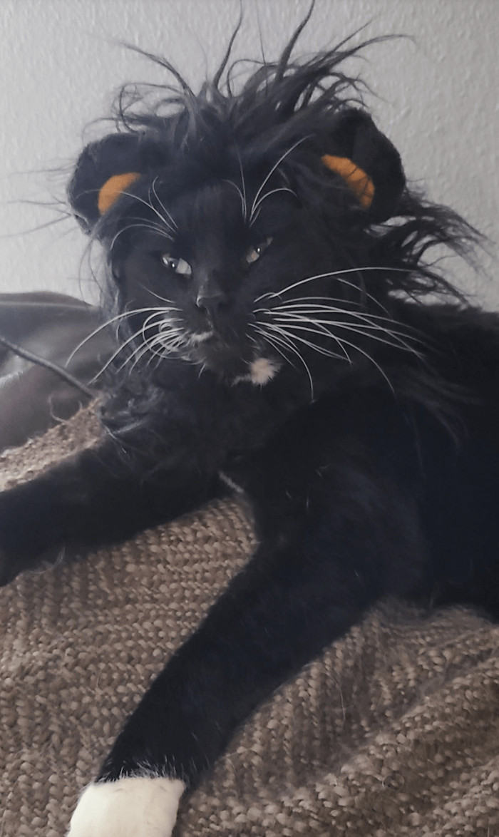 10. "We both have dark hair"